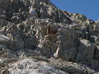 Bild: Routendetail in der oberen Hälfte vom Tierbergli 408